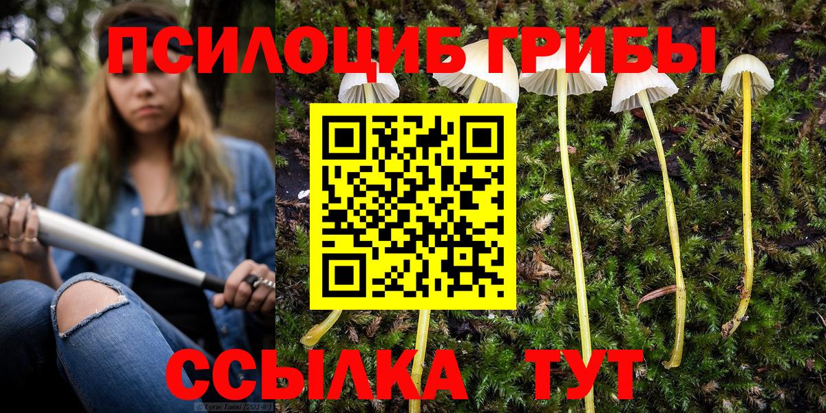 Галлюциногенные грибы мухоморы Ессентуки